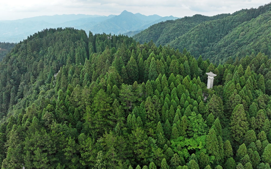 鐘華論:將調(diào)查研究發(fā)揚(yáng)光大