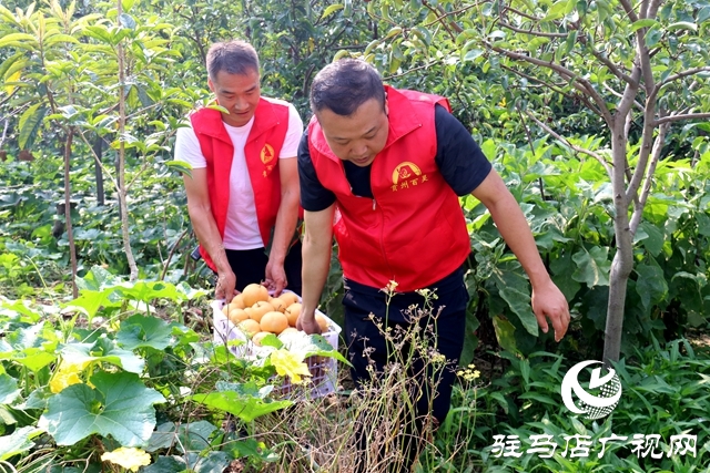 愛(ài)心企業(yè)助農(nóng) 為一線(xiàn)工作者送清涼