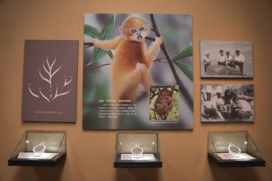 跟著總書記看中國(guó)|講好生態(tài)文明與文化自信相得益彰的三晉故事