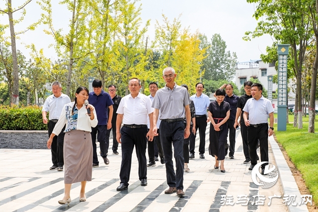 岳卷中調(diào)研泌陽(yáng)國(guó)土綠化工作