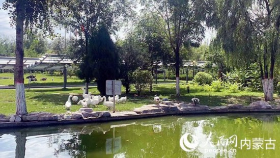 跟著總書記看中國(guó)|呼和浩特中環(huán)產(chǎn)業(yè)園大力發(fā)展綠色能源