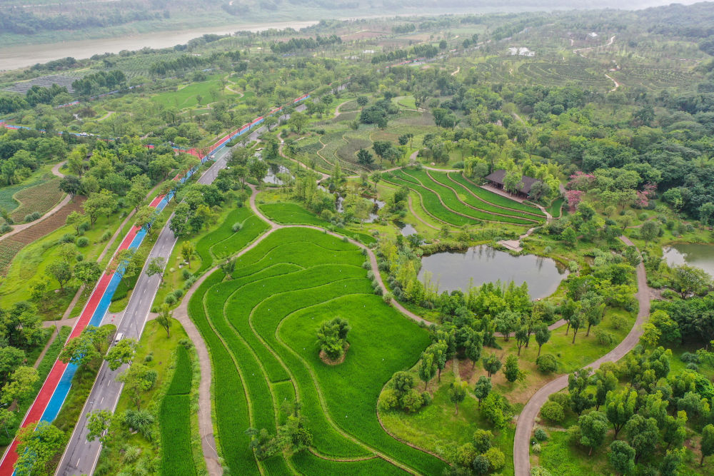 鏡觀·領(lǐng)航丨母親河的保護(hù)與發(fā)展，總書記這樣把脈定向