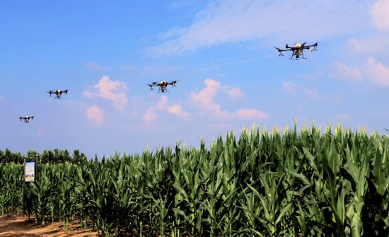 跟著總書(shū)記看中國(guó)丨吉林黑土地上筑起中國(guó)大糧倉(cāng)