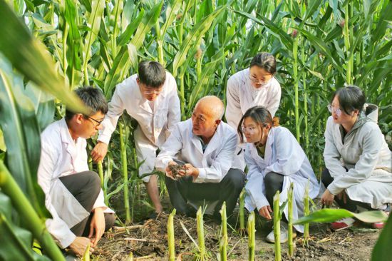 跟著總書(shū)記看中國(guó)丨吉林黑土地上筑起中國(guó)大糧倉(cāng)