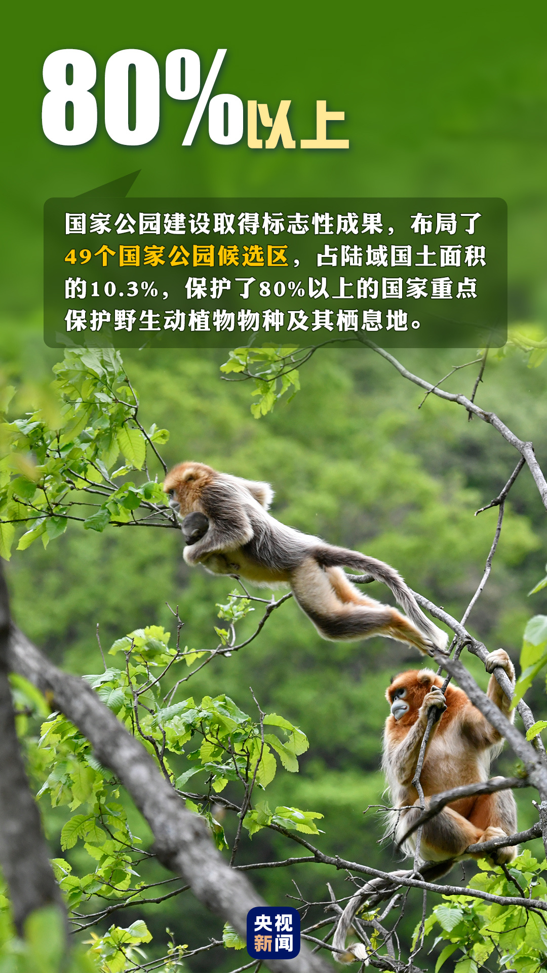 首個(gè)“全國生態(tài)日”來了！一組數(shù)據(jù)帶你看美麗中國新畫卷