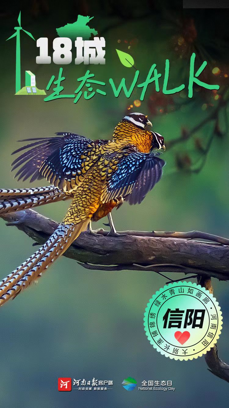 全國生態(tài)日丨“多巴胺”生態(tài)walk，這是你沒見過的河南
