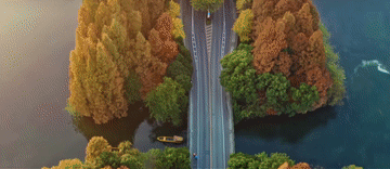 微視頻|你身邊的這抹綠色 總書記深深牽掛