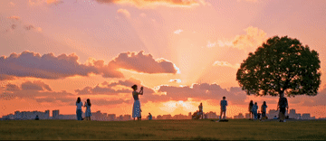 微視頻|你身邊的這抹綠色 總書記深深牽掛