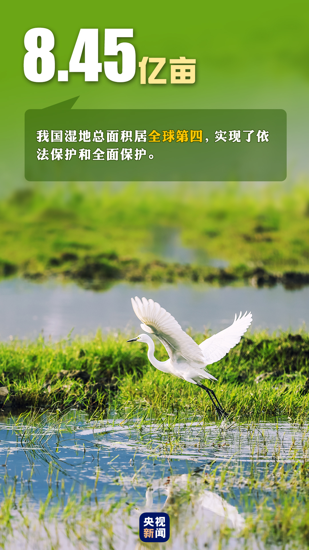 首個(gè)“全國生態(tài)日”來了！一組數(shù)據(jù)帶你看美麗中國新畫卷