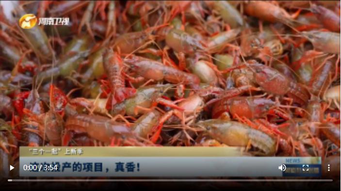 這次投產(chǎn)的項目，真香！| “三個一批”上新季