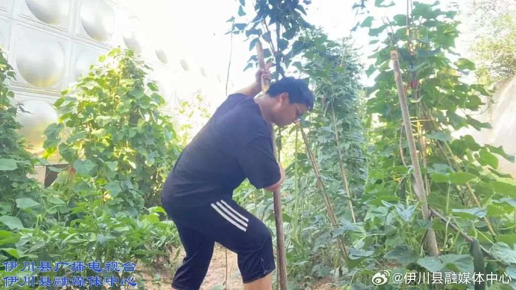 了不起！河南伊川這家敬老院里，走出個大學(xué)生