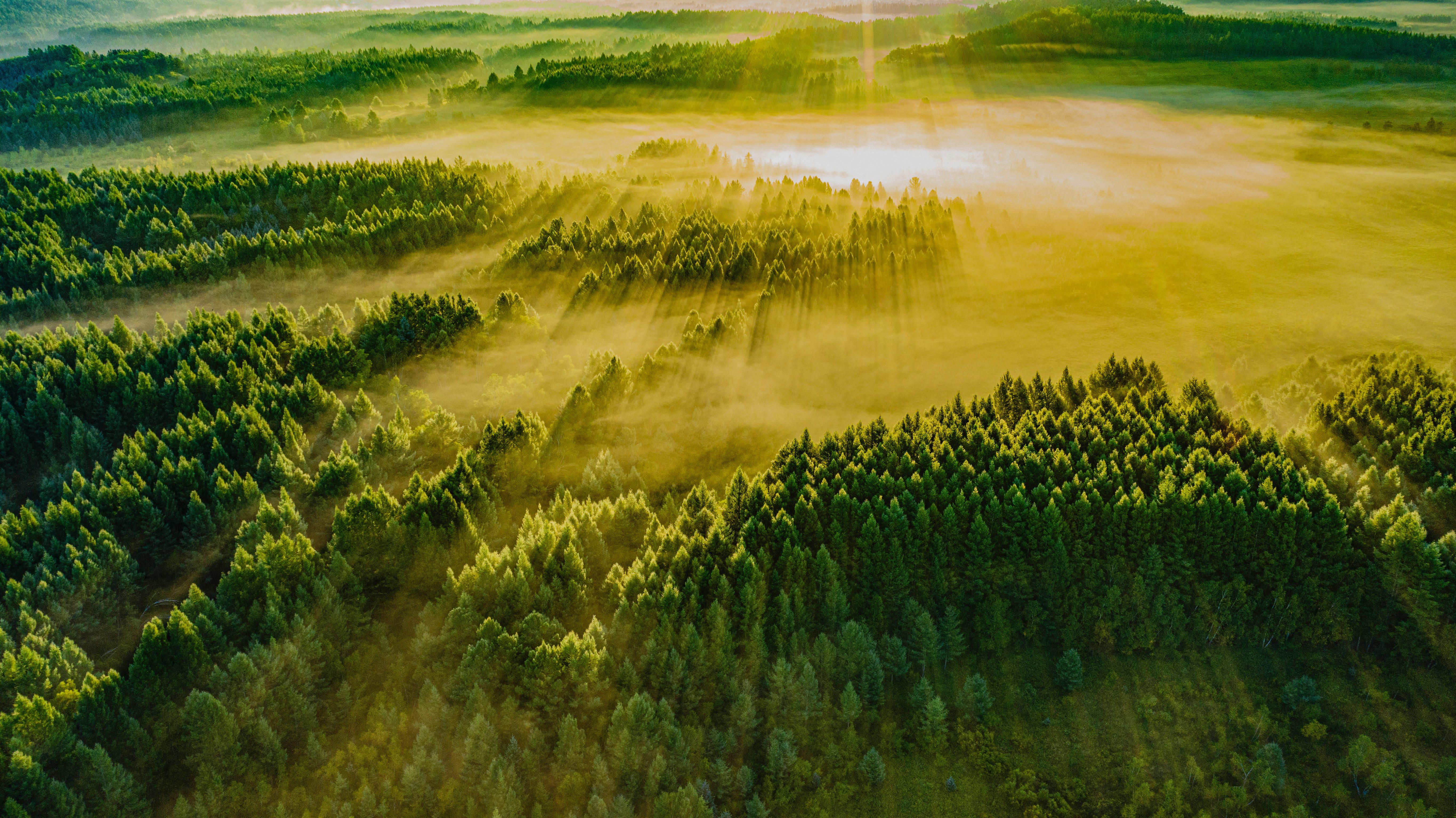 綠水青山帶笑顏丨一棵松繁衍出一片“?！? /></p>
<p>牢記囑托，新一代塞罕壩人大力弘揚(yáng)塞罕壩精神，接續(xù)奮斗，在茫茫林海中續(xù)寫新的綠色傳奇。</p>
<p style=