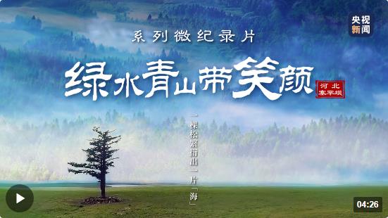 綠水青山帶笑顏丨一棵松繁衍出一片“?！? width=