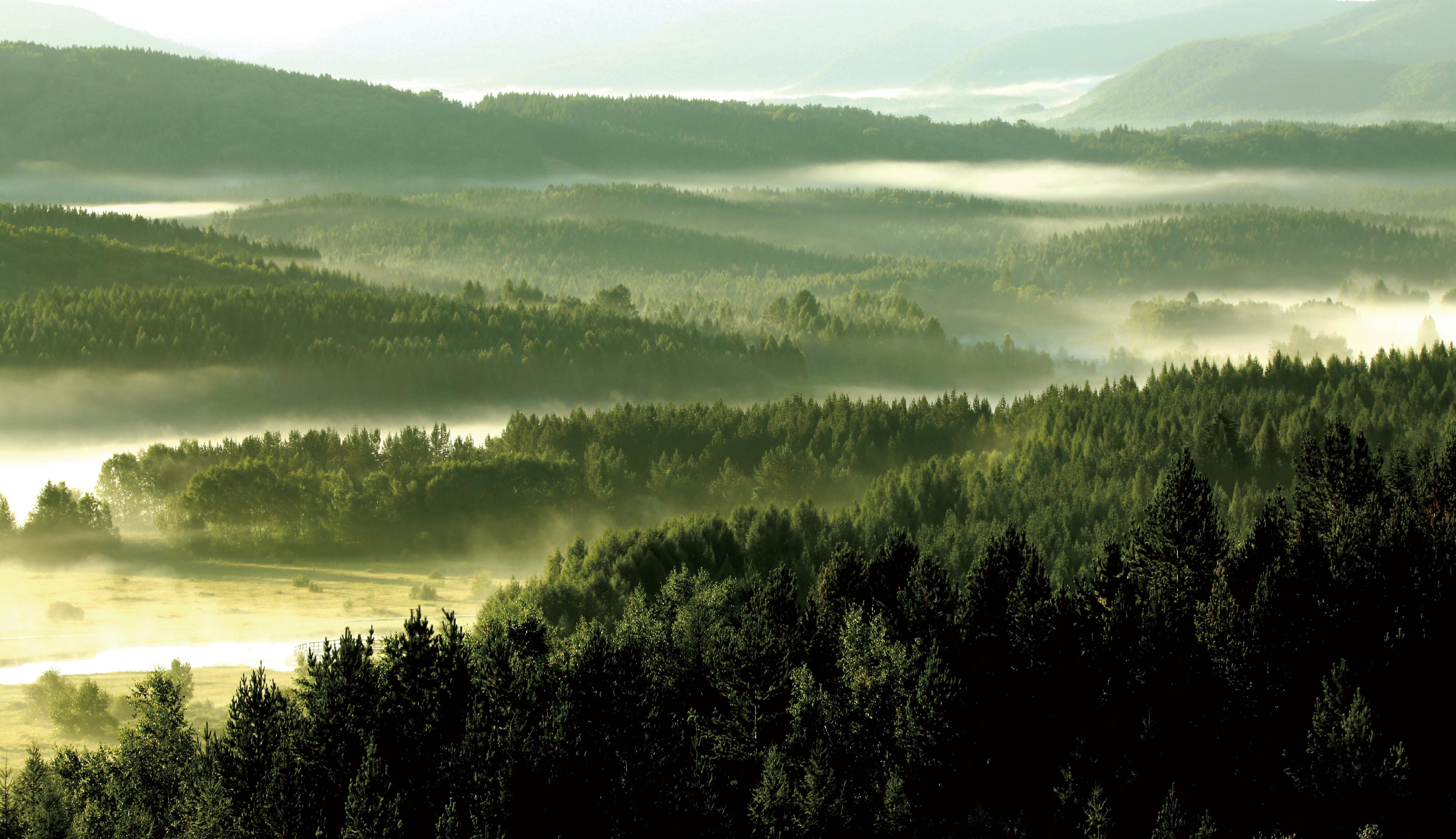 綠水青山帶笑顏丨一棵松繁衍出一片“?！? /></p>
<p>從“一棵松”到百萬(wàn)畝人工綠海，塞罕壩每棵樹的年輪里都蘊(yùn)含著中國(guó)生態(tài)文明的發(fā)展進(jìn)程。</p>
<p style=
