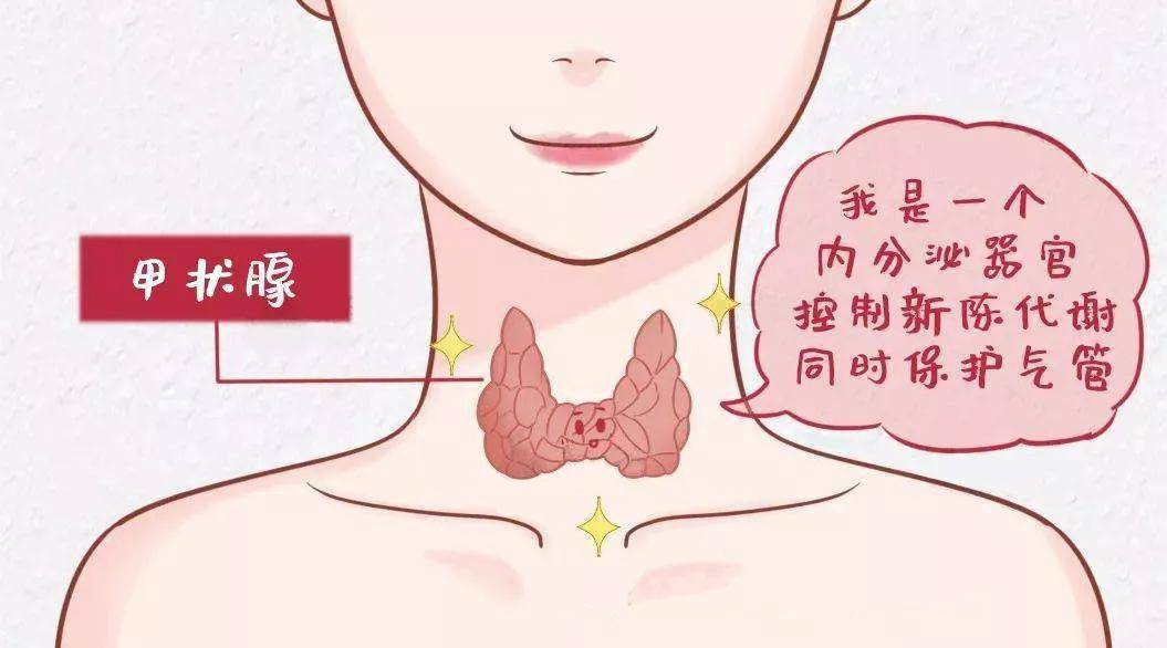 漲健識(shí) | 甲狀腺結(jié)節(jié)真的那么恐怖嗎？