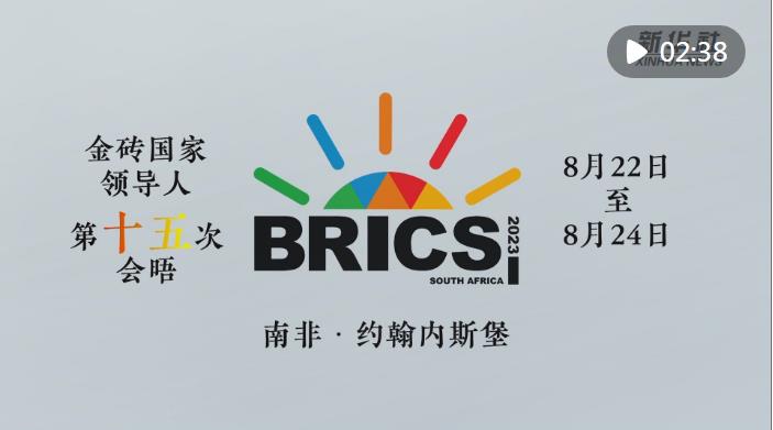 快閃數(shù)說(shuō)｜金磚的成色有多足？