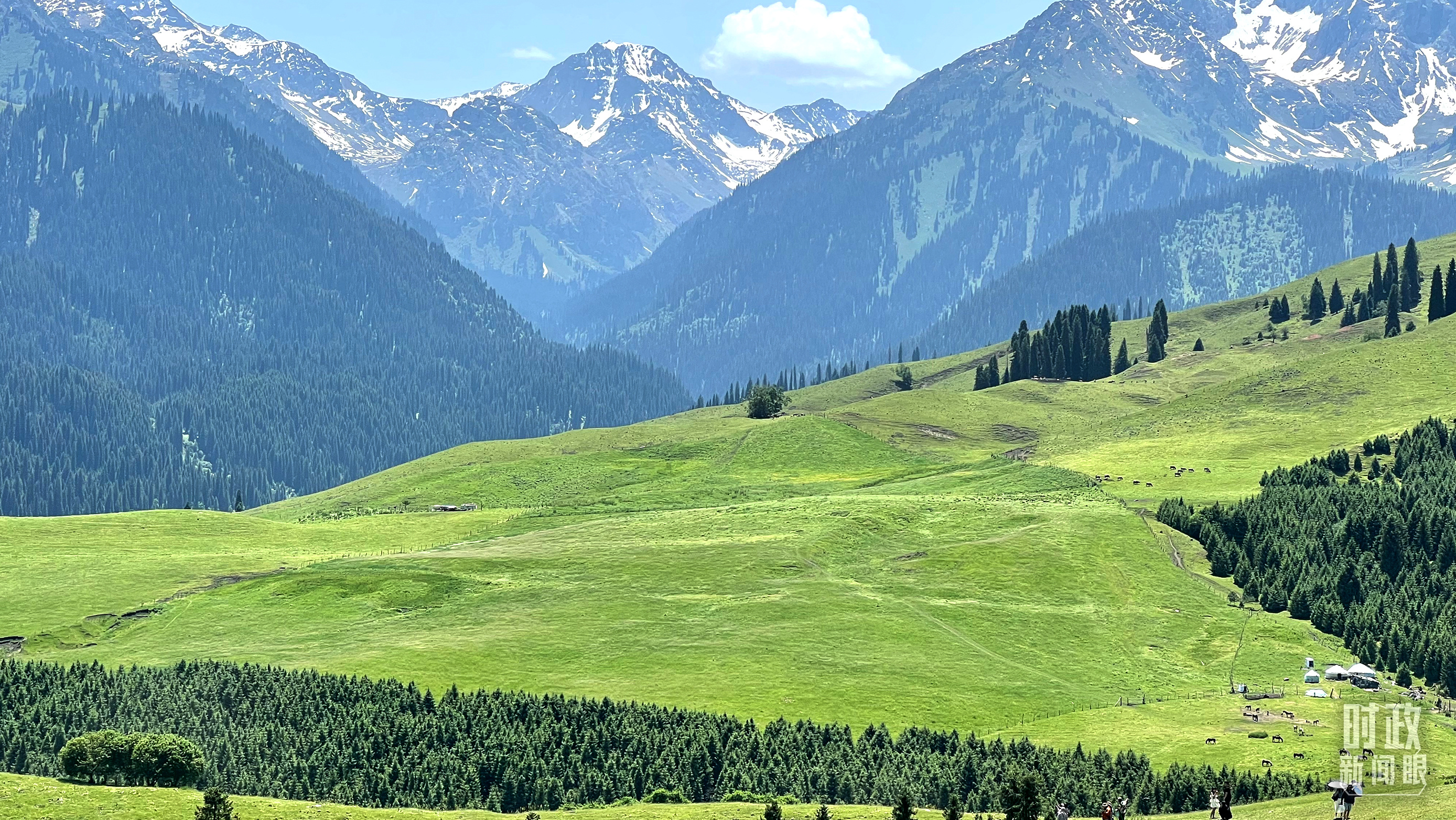 時(shí)政新聞眼丨在烏魯木齊專門聽取匯報(bào)，習(xí)近平對新疆工作作出這些重要部署