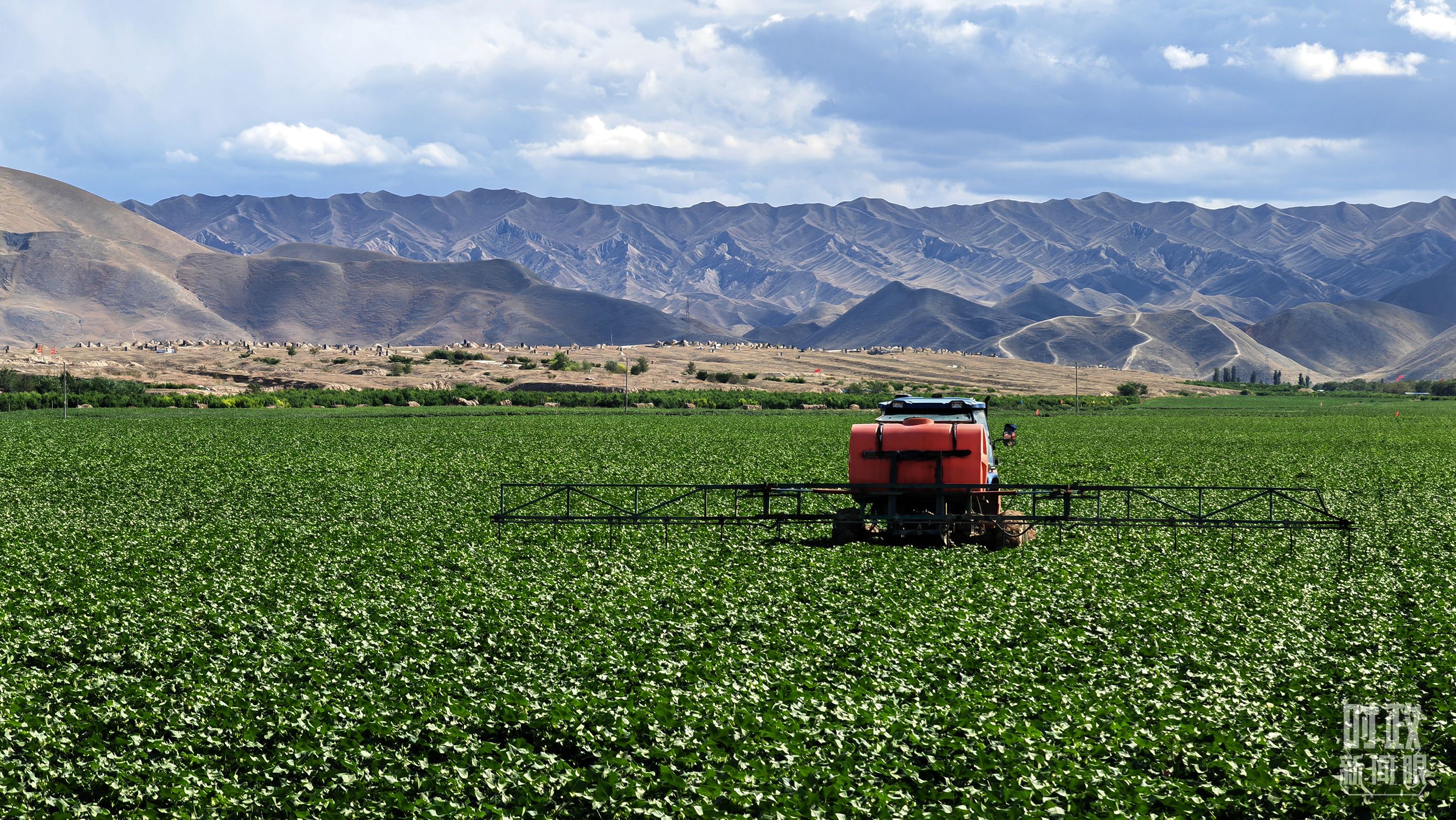 時(shí)政新聞眼丨在烏魯木齊專門聽取匯報(bào)，習(xí)近平對新疆工作作出這些重要部署