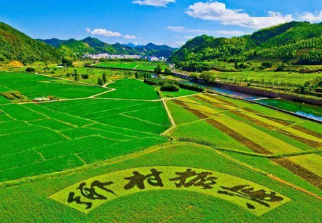 三部門聯(lián)合印發(fā)《鄉(xiāng)村振興標準化行動方案》