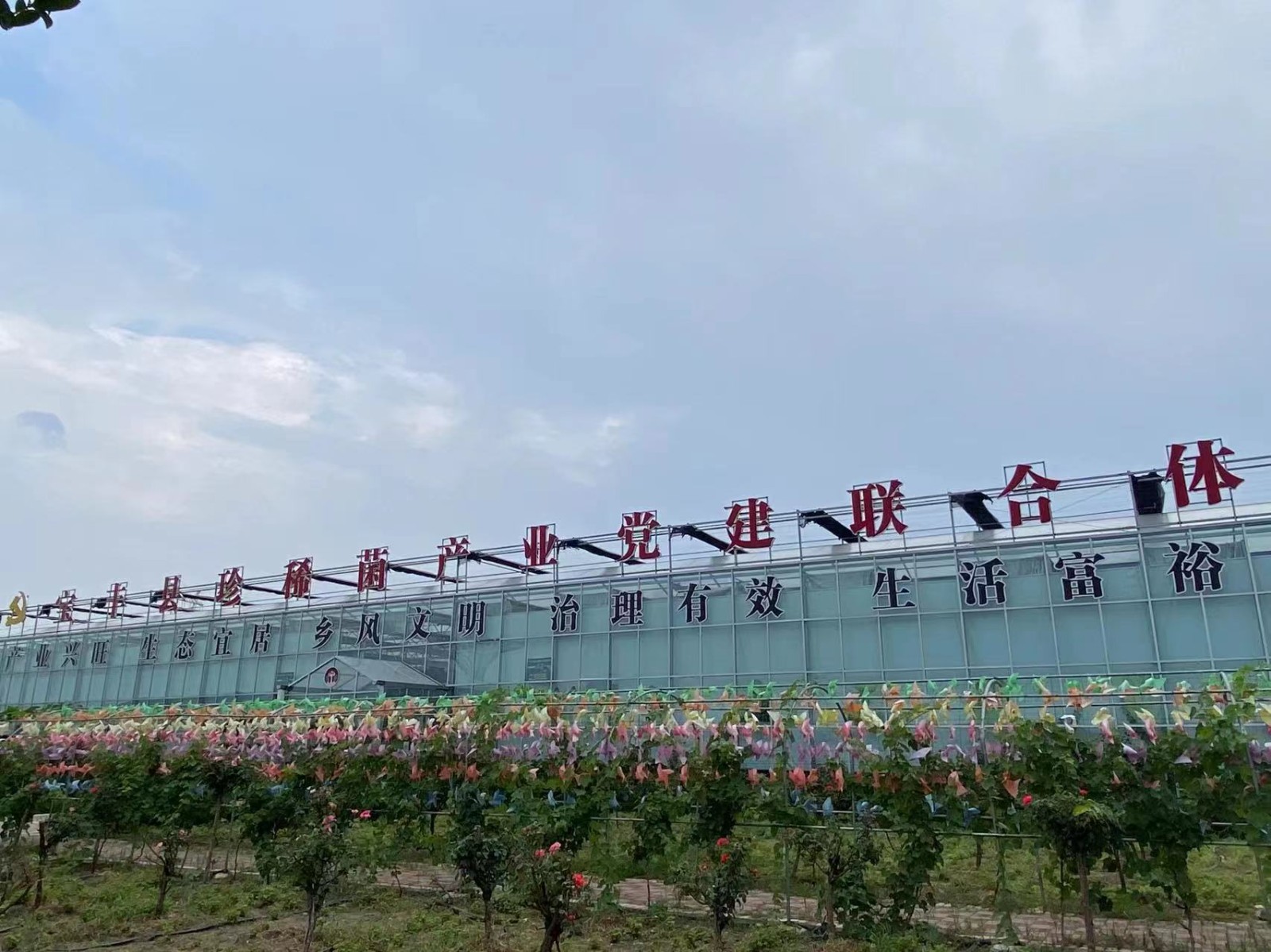 沿著南水北調(diào)中線看發(fā)展丨搬得出能致富！看河南各地“移民村”如何變身“宜民村”