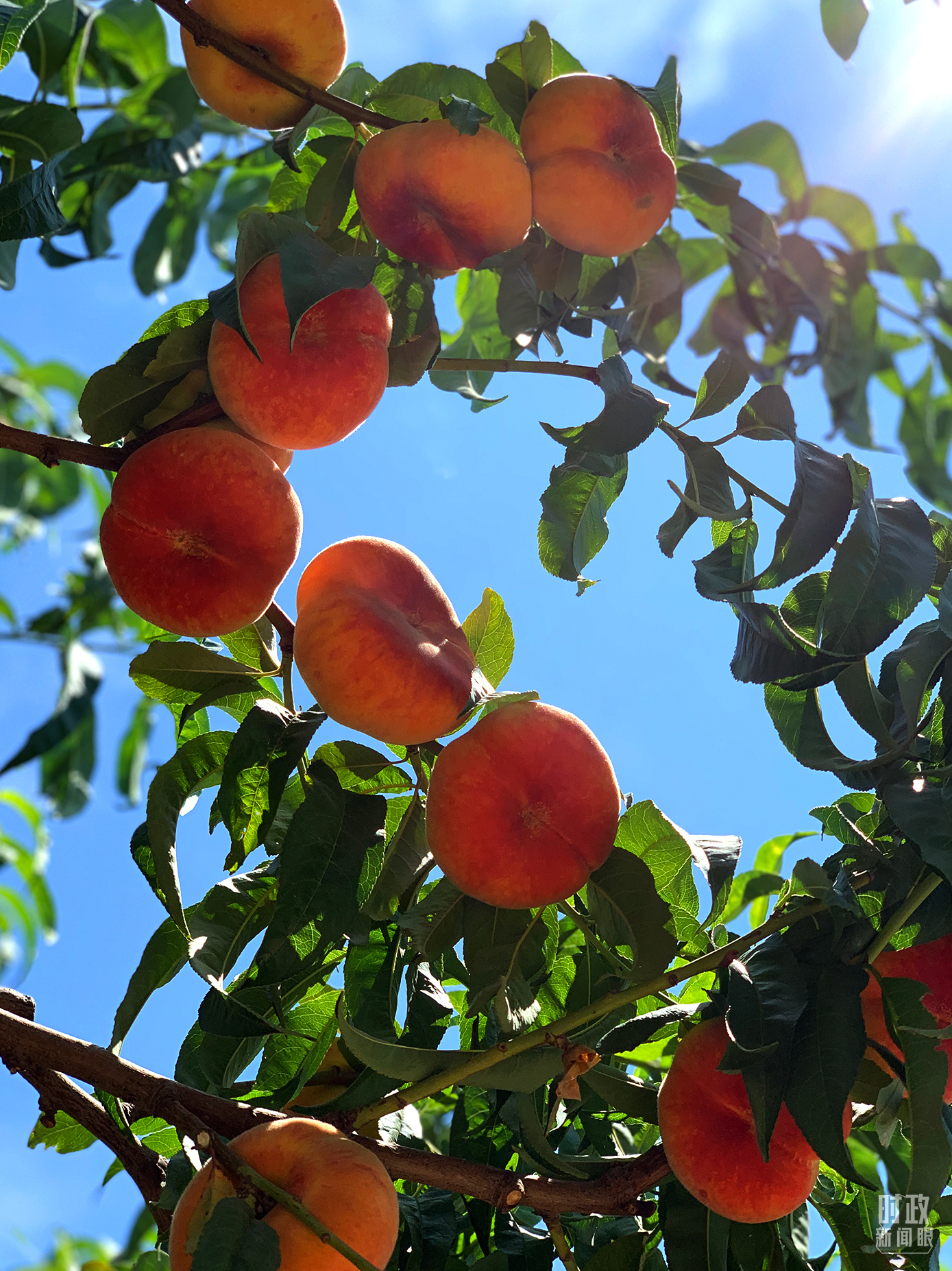 時(shí)政新聞眼丨在烏魯木齊專門聽取匯報(bào)，習(xí)近平對新疆工作作出這些重要部署