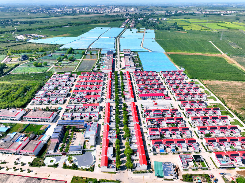 “星光豫亮 精神長青”系列調研報告之五 | 丹江湖畔樹豐碑