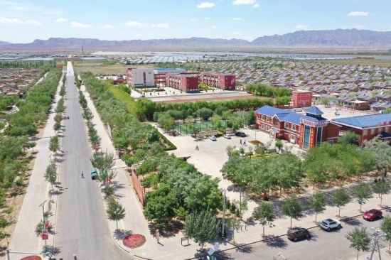 跟著總書記看中國｜“拔掉窮根把花栽，美得喲沙漠變花海”