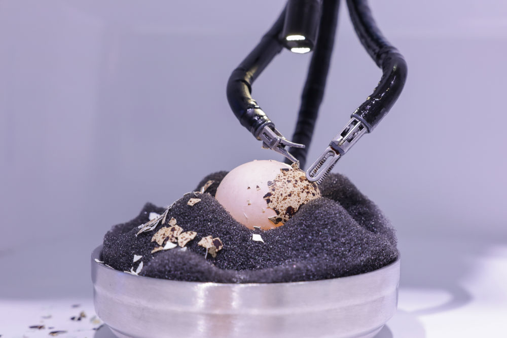 開放引領(lǐng)發(fā)展 合作共贏未來(lái)——習(xí)近平主席向2023年中國(guó)國(guó)際服務(wù)貿(mào)易交易會(huì)全球服務(wù)貿(mào)易峰會(huì)的致辭彰顯中國(guó)開放合作信心