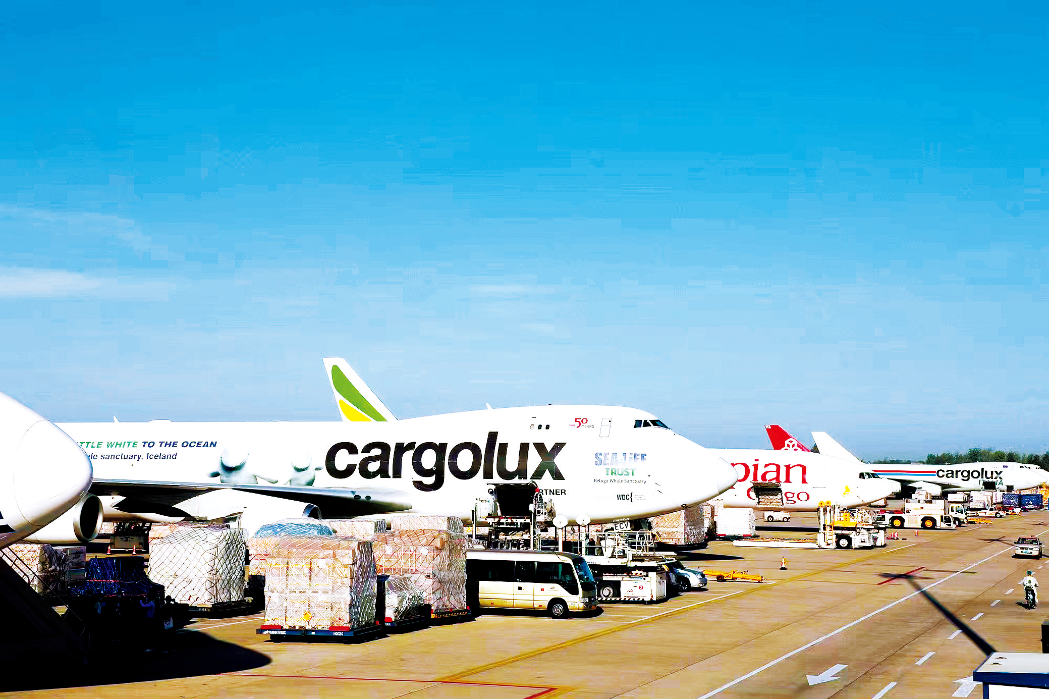 跨國公司看河南：河南有商業(yè)思維，來豫投資有信心！