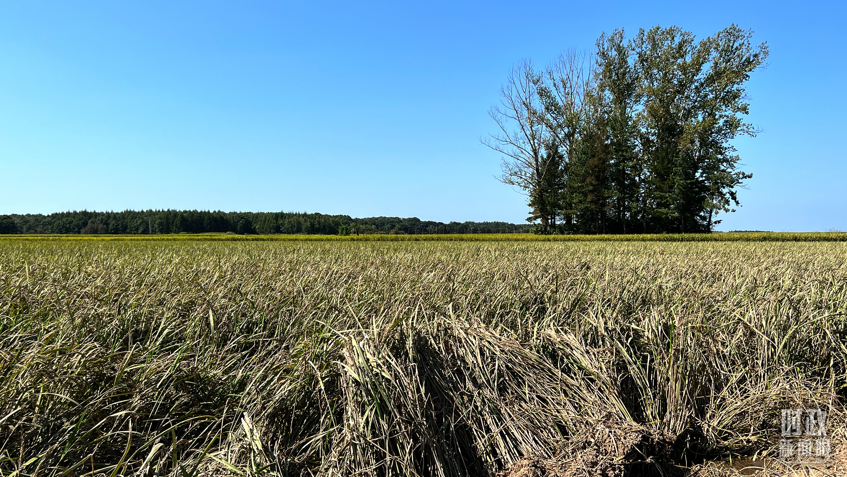 時政新聞眼丨時隔五年再赴黑龍江，習近平關(guān)心這些事