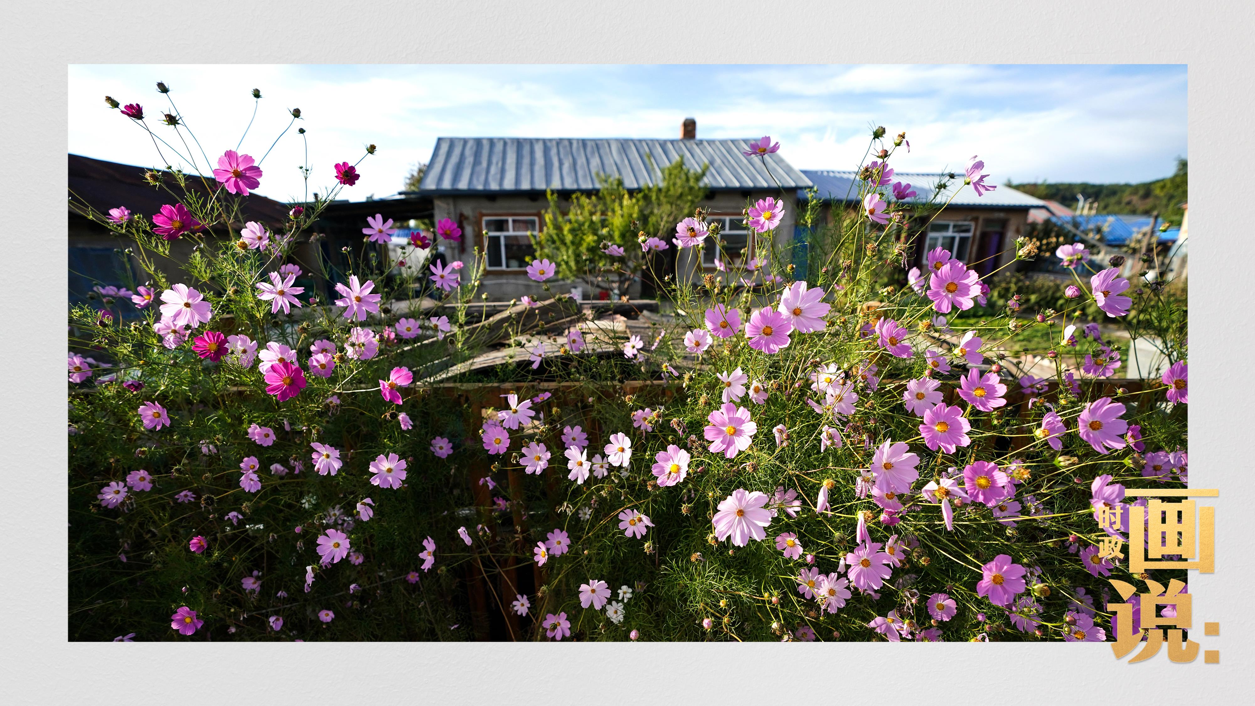 時(shí)政畫說(shuō)丨一路向北