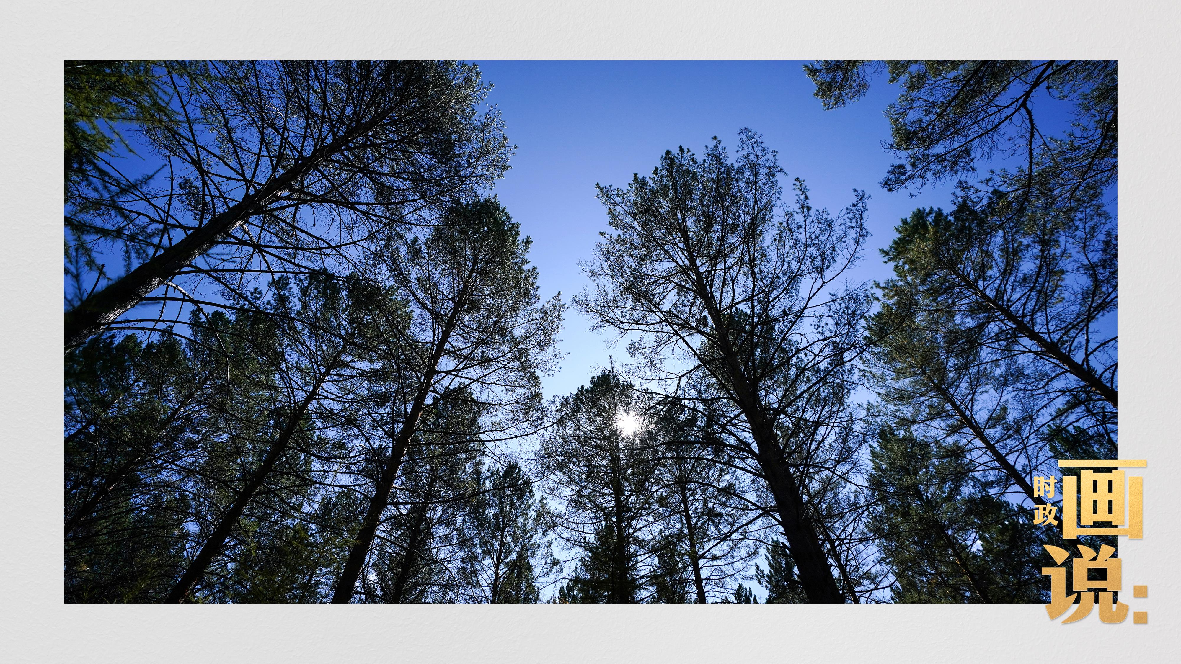 時(shí)政畫說(shuō)丨一路向北