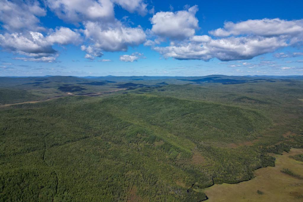 鑒往知來丨大興安嶺林區(qū)轉(zhuǎn)型記
