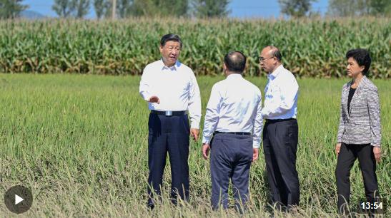 時政新聞眼丨時隔五年再赴黑龍江，習近平關(guān)心這些事