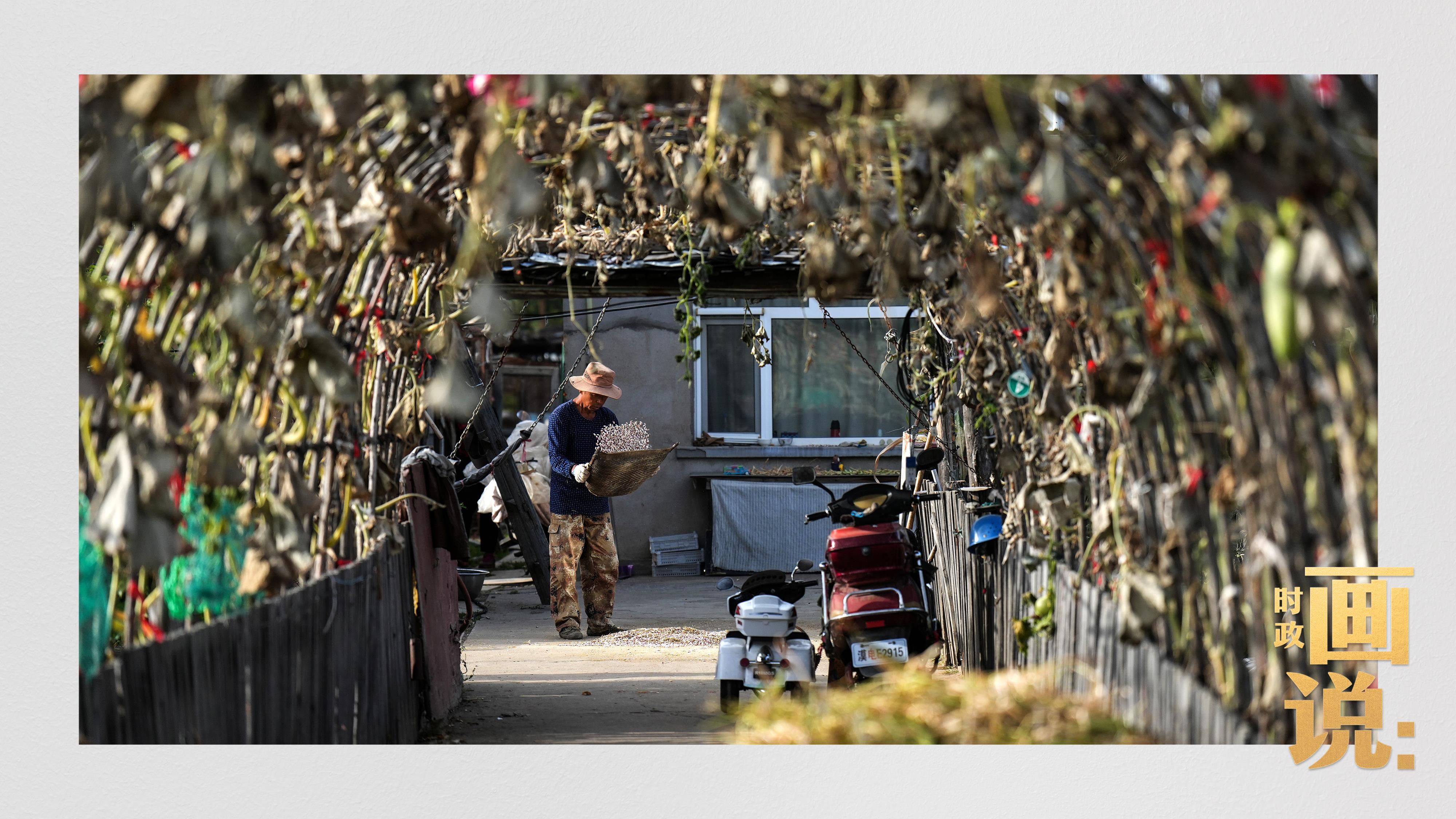 時(shí)政畫說(shuō)丨一路向北