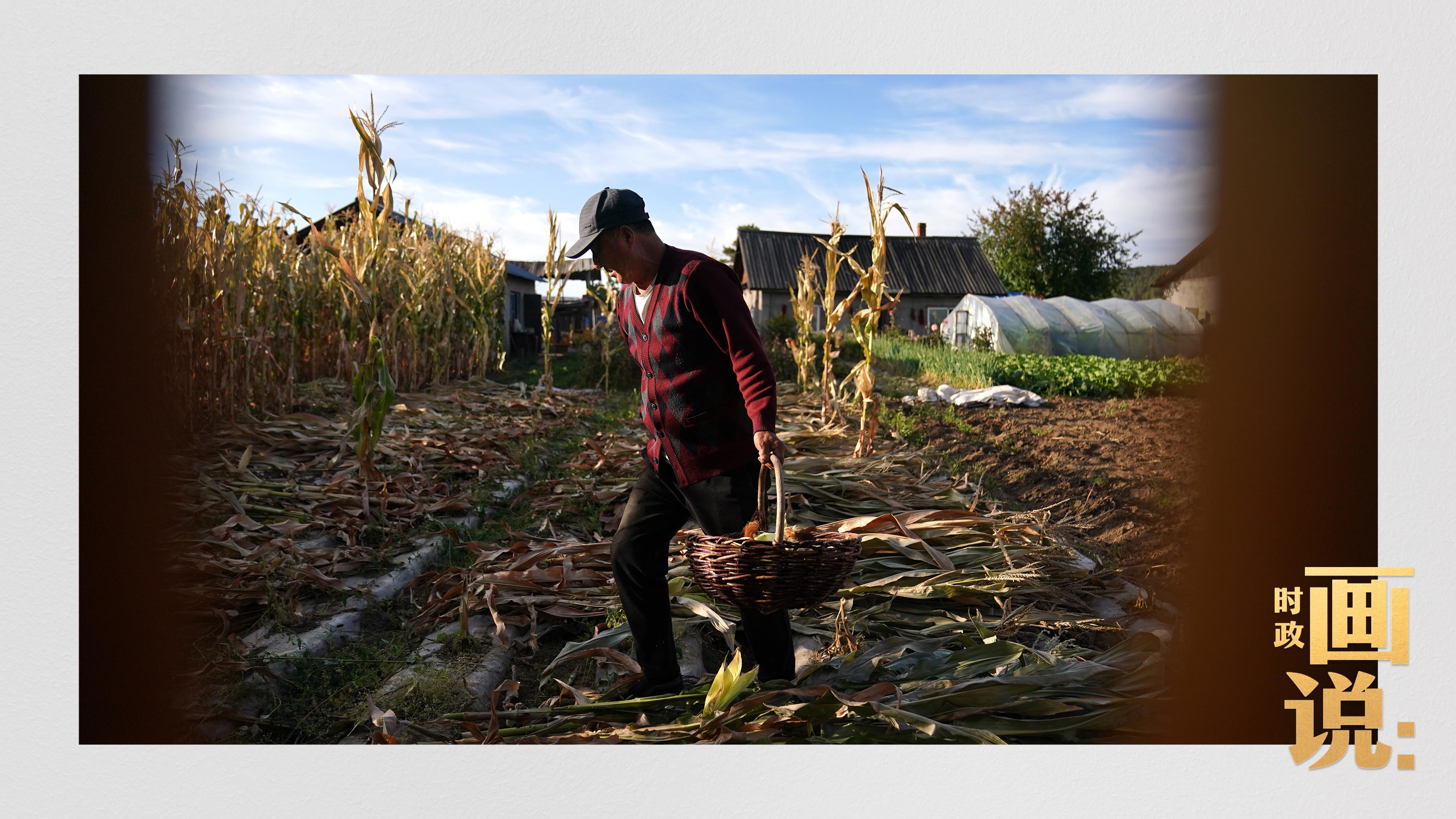 時(shí)政畫說(shuō)丨一路向北