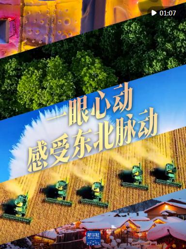 一眼心動(dòng)，感受東北脈動(dòng)