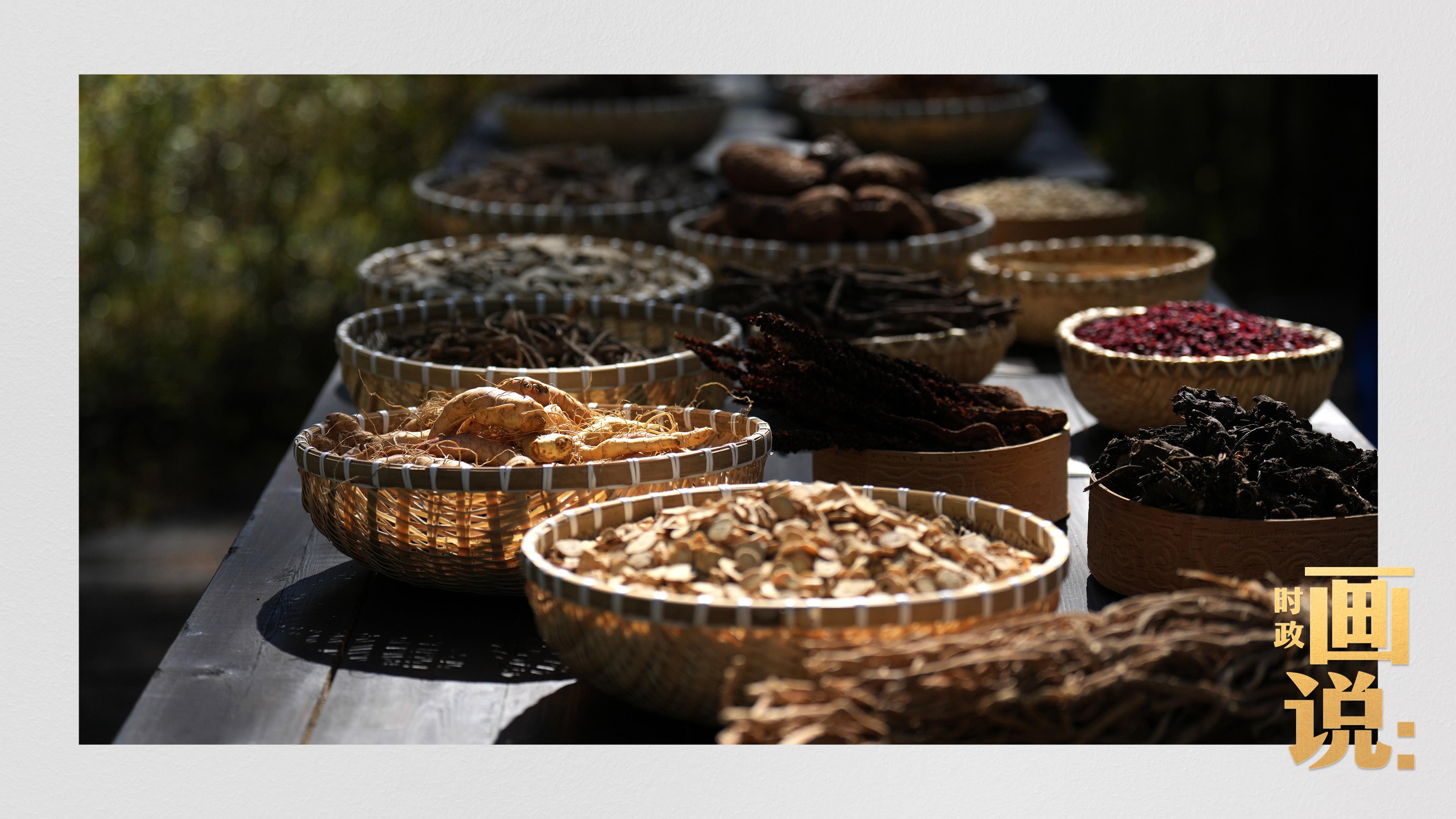 時(shí)政畫說(shuō)丨一路向北