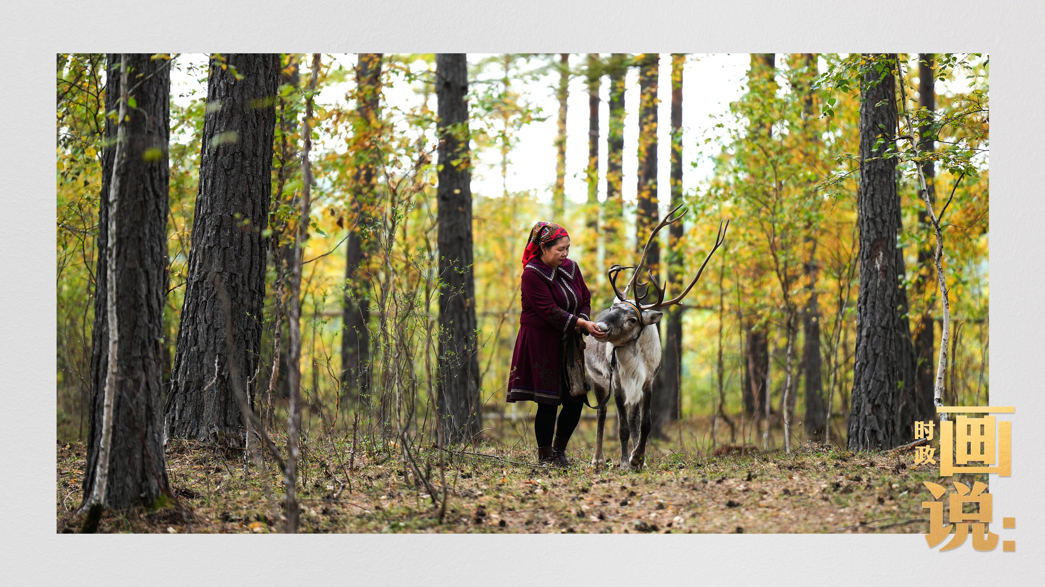 時(shí)政畫說(shuō)丨一路向北