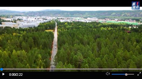 第1視點丨習近平考察漠河林場自然林區(qū)