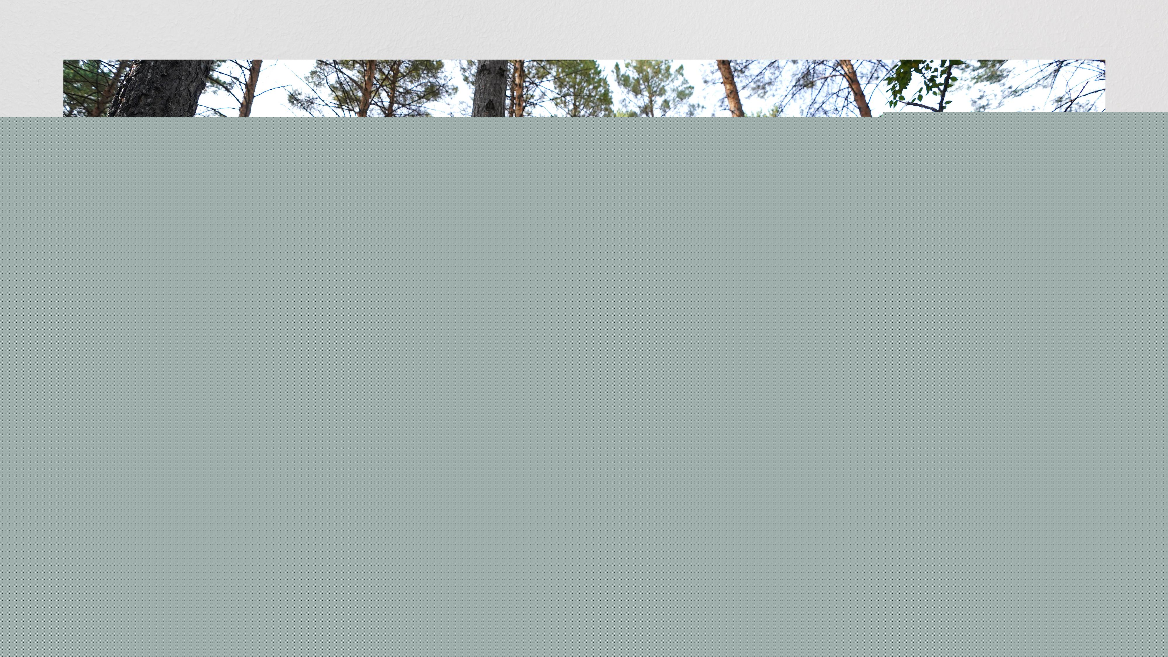 時(shí)政畫說(shuō)丨一路向北