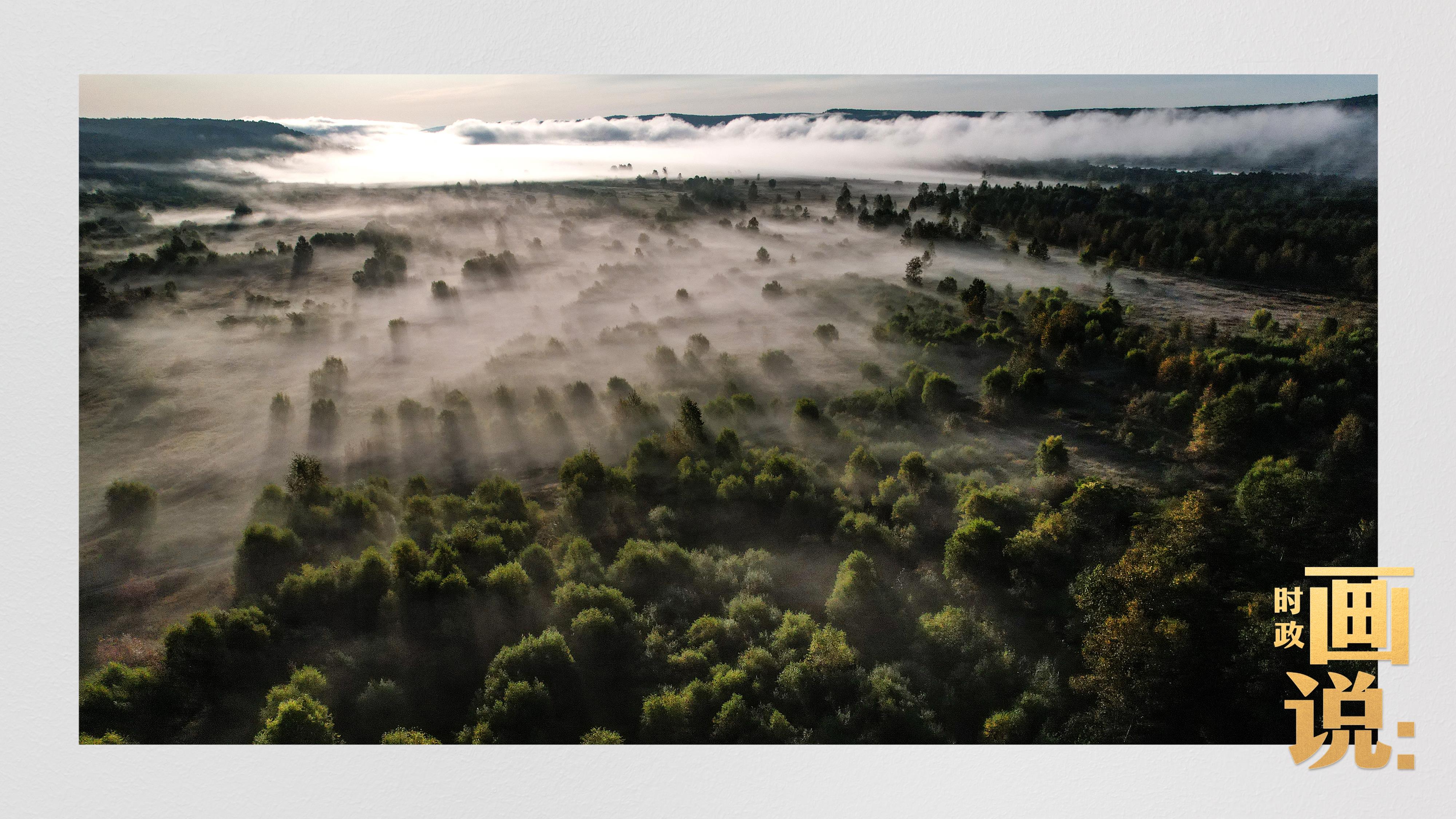 時(shí)政畫說(shuō)丨一路向北