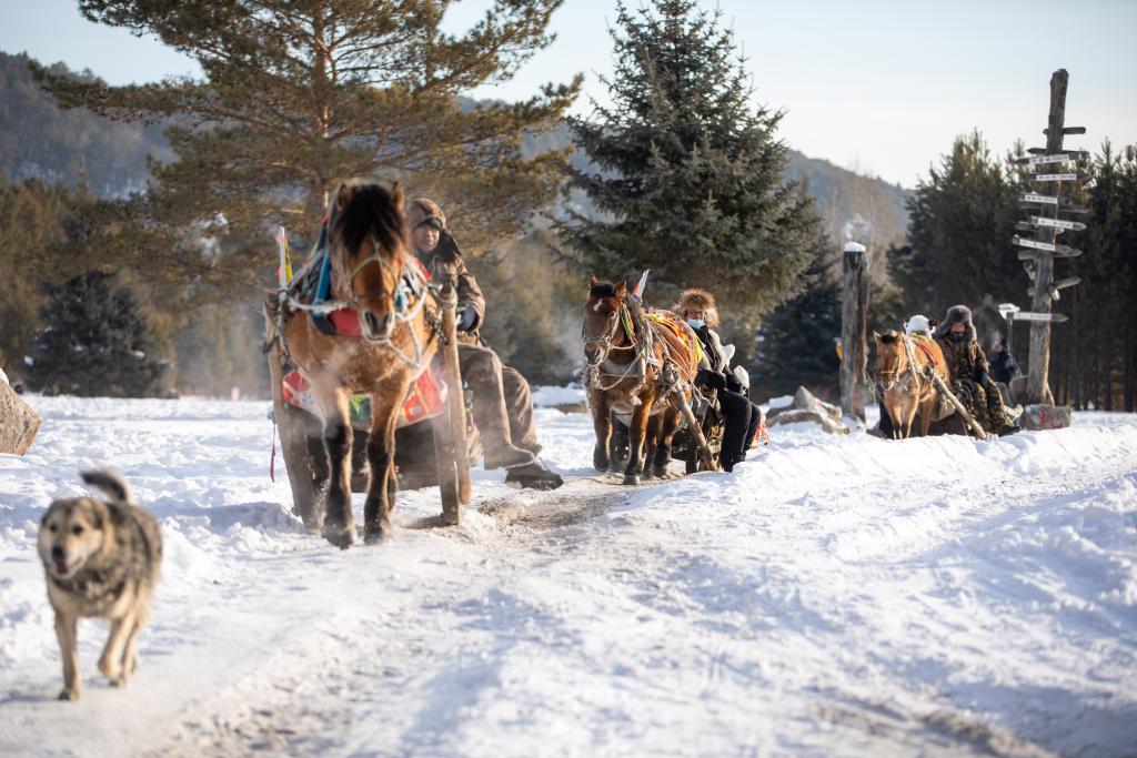 鑒往知來丨大興安嶺林區(qū)轉(zhuǎn)型記