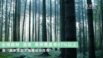 跟著總書記的考察足跡｜這里是中國(guó)極北之地——漠河