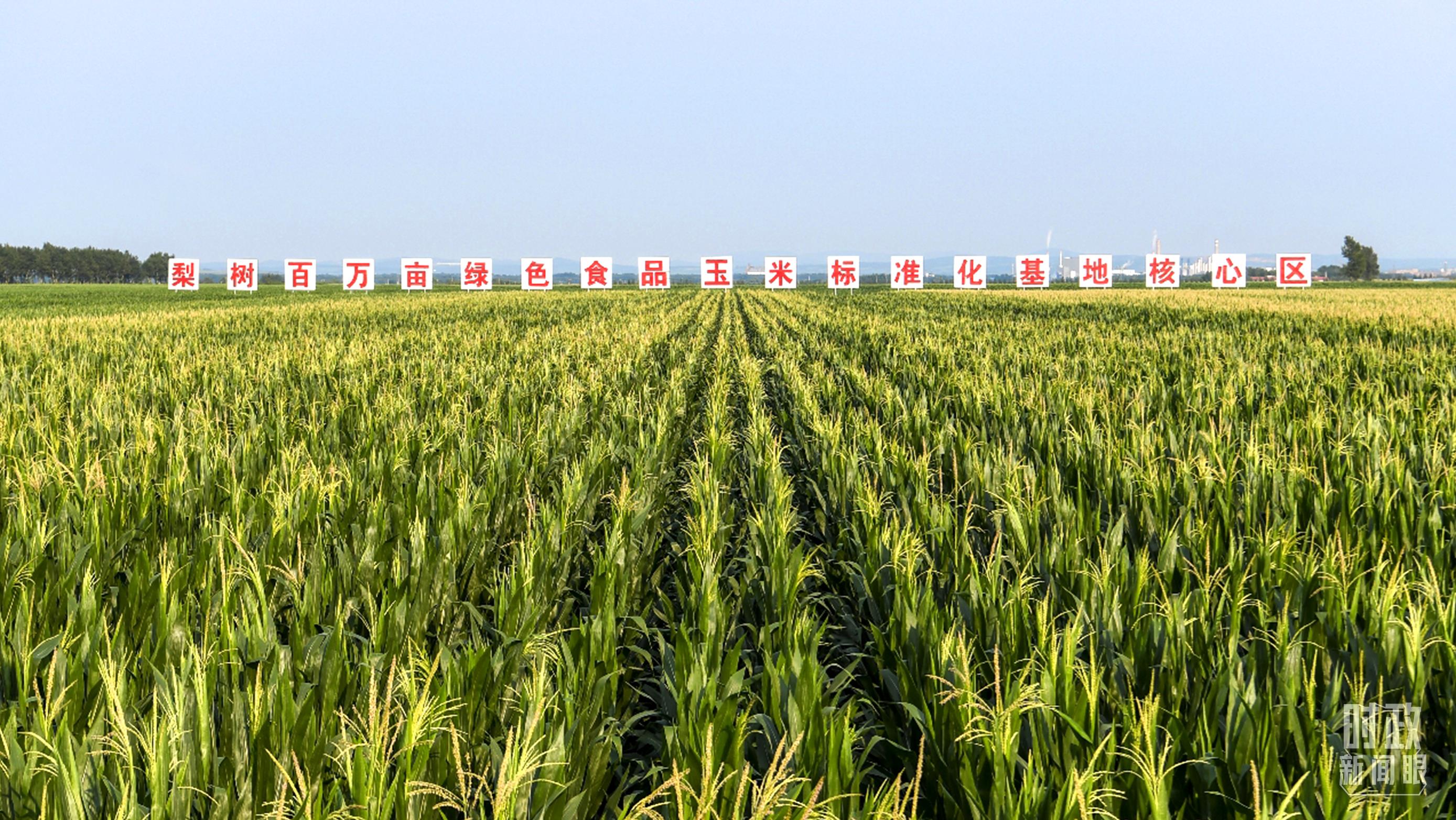 時(shí)政新聞眼丨再開(kāi)東北振興座談會(huì)，這些關(guān)鍵詞引人關(guān)注