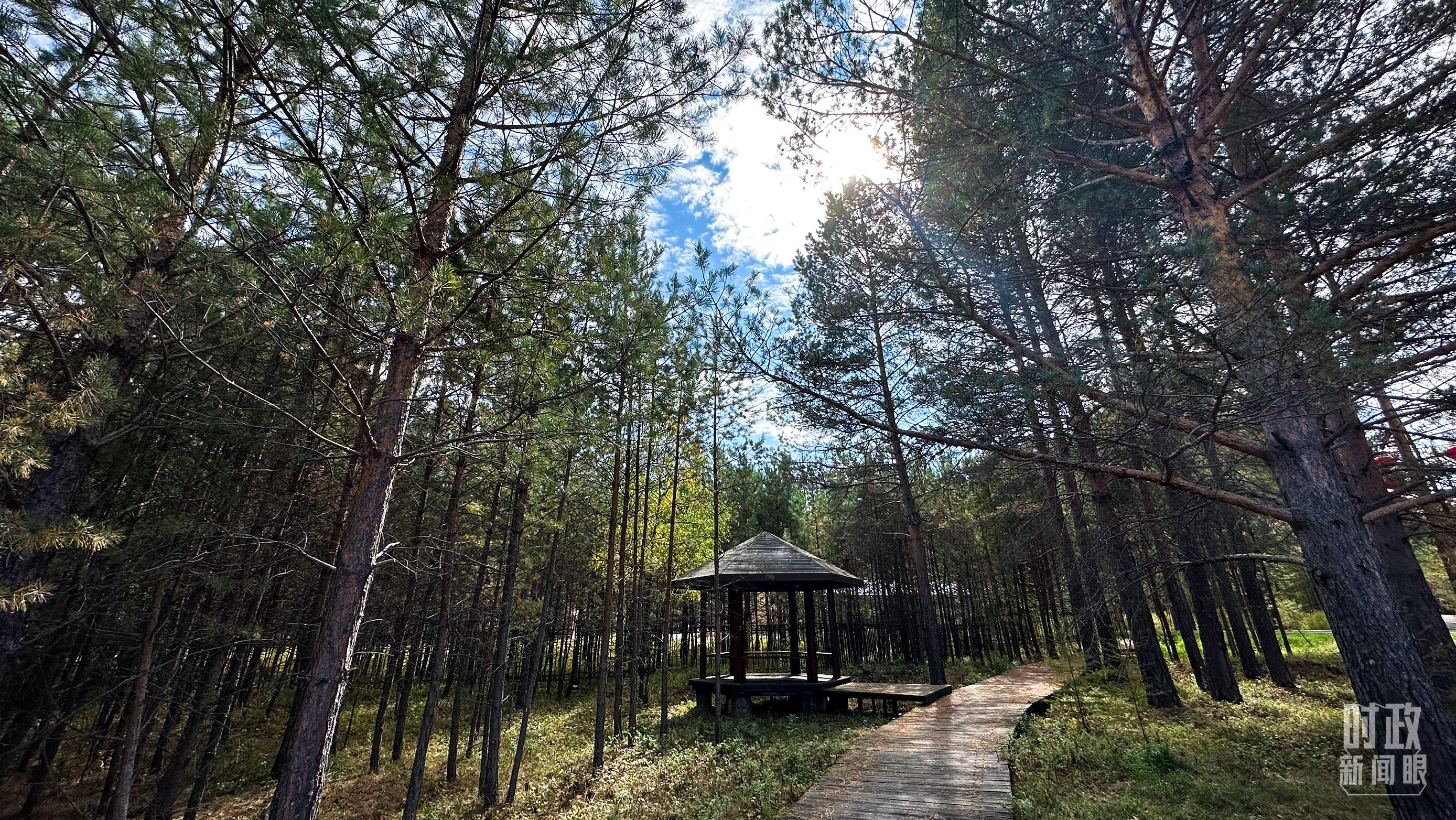 時(shí)政新聞眼丨再開(kāi)東北振興座談會(huì)，這些關(guān)鍵詞引人關(guān)注