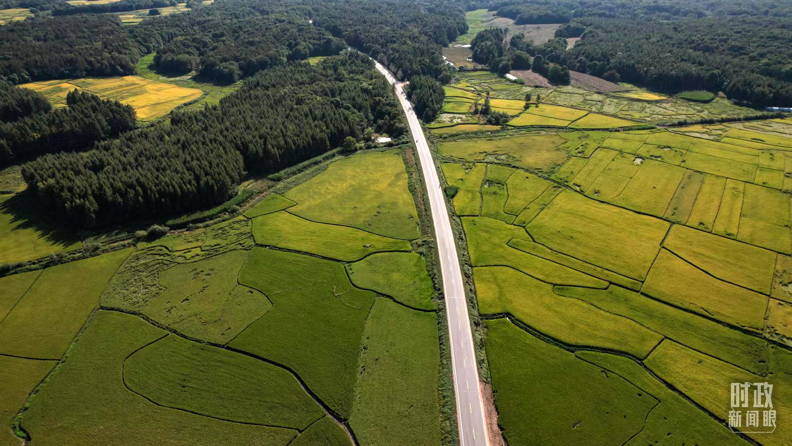 時(shí)政新聞眼丨再開(kāi)東北振興座談會(huì)，這些關(guān)鍵詞引人關(guān)注