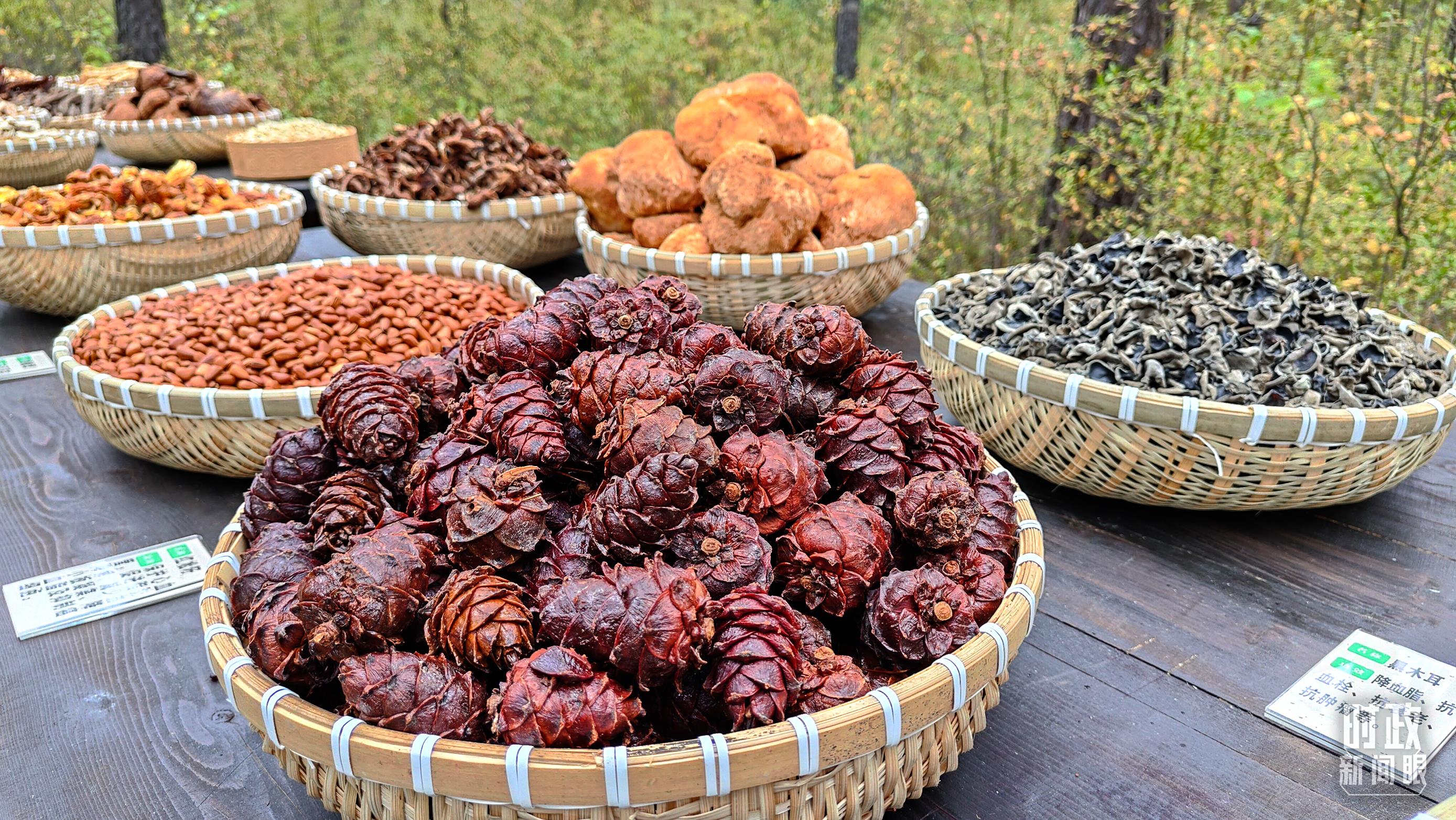 時(shí)政新聞眼丨再開(kāi)東北振興座談會(huì)，這些關(guān)鍵詞引人關(guān)注