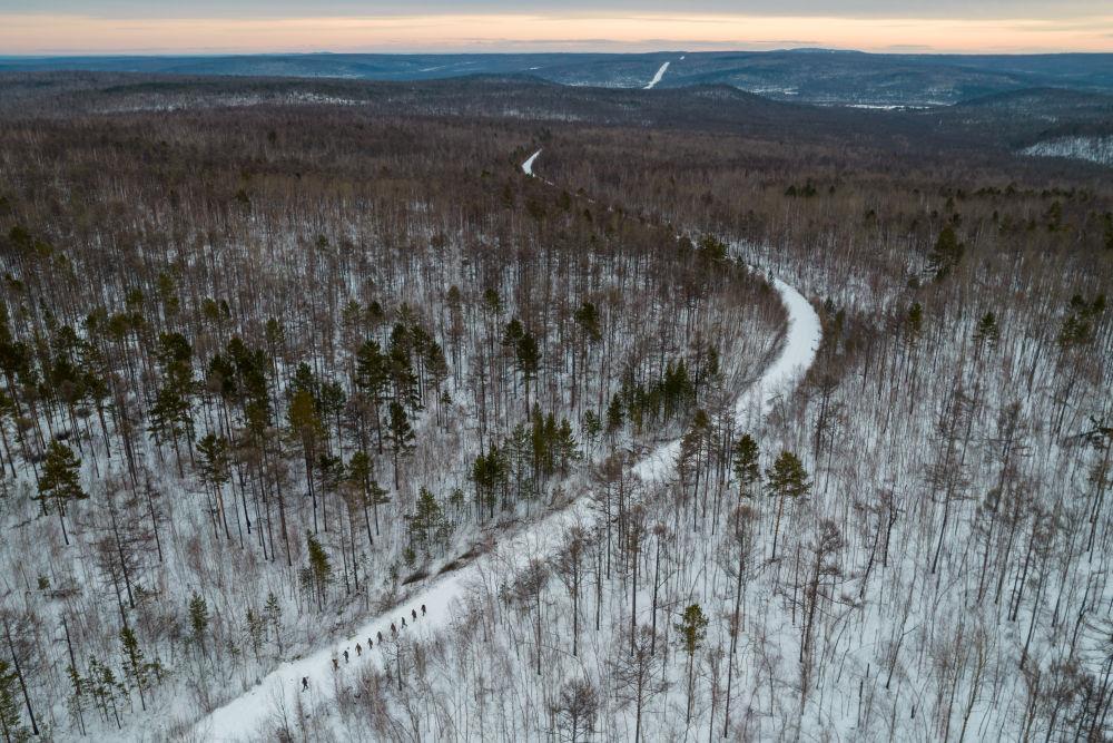 時(shí)政微觀察丨“增綠就是增優(yōu)勢(shì)、護(hù)林就是護(hù)財(cái)富”