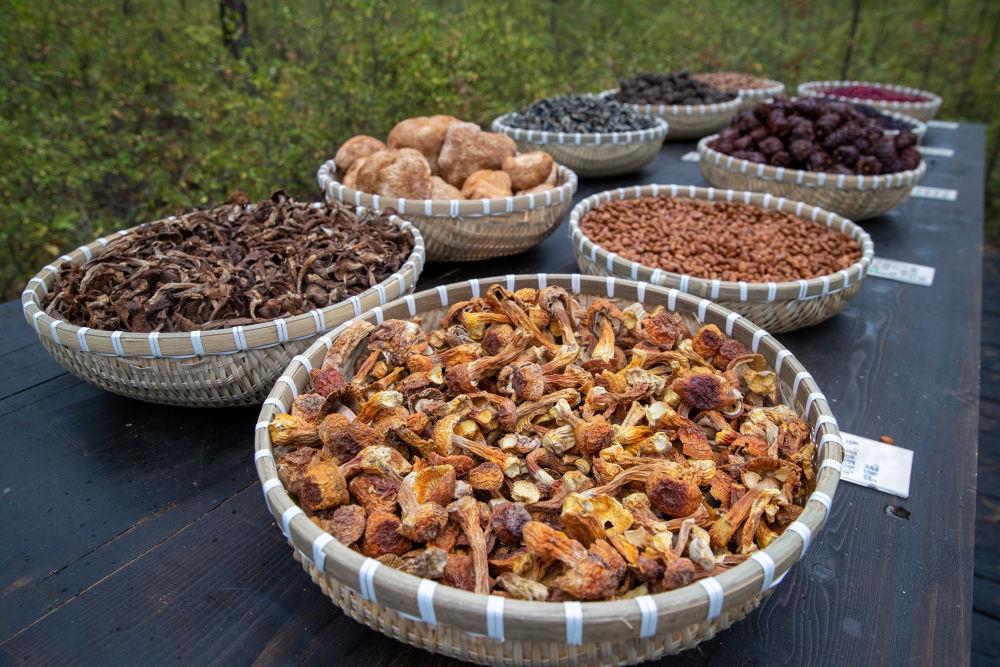 時(shí)政微觀察丨“增綠就是增優(yōu)勢(shì)、護(hù)林就是護(hù)財(cái)富”